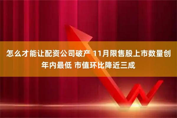 怎么才能让配资公司破产 11月限售股上市数量创年内最低 市值环比降近三成
