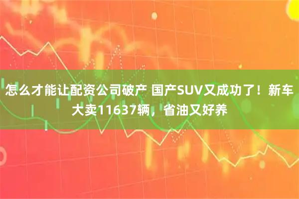 怎么才能让配资公司破产 国产SUV又成功了！新车大卖11637辆，省油又好养